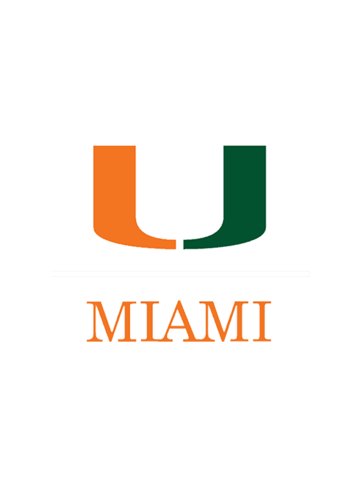 logo miami